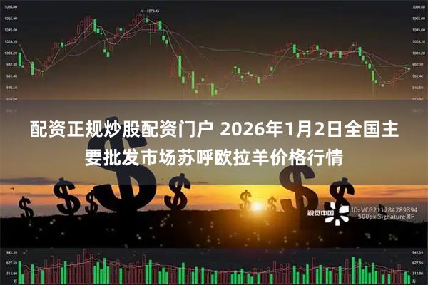 配资正规炒股配资门户 2026年1月2日全国主要批发市场苏呼欧拉羊价格行情