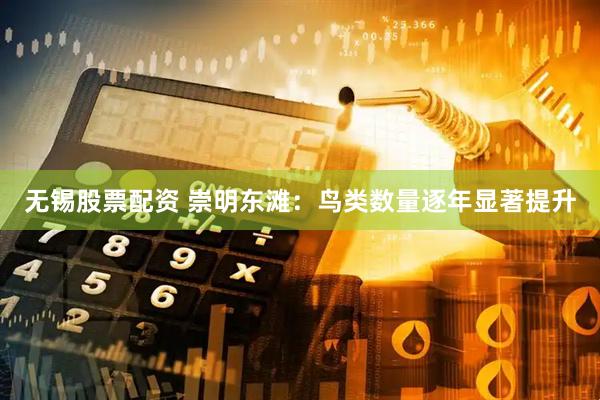 无锡股票配资 崇明东滩：鸟类数量逐年显著提升