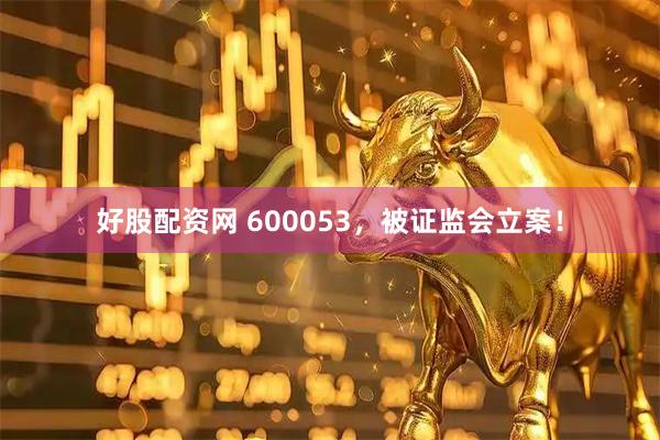 好股配资网 600053,被证监会立案!